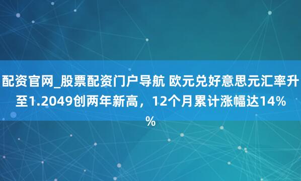 配资官网_股票配资门户导航 欧元兑好意思元汇率升至1.2049创两年新高，12个月累计涨幅达14%